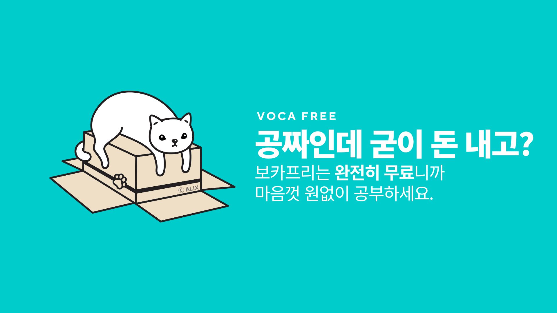 보카프리는 완전히 무료니까 마음껏 원없이 공부하세요.