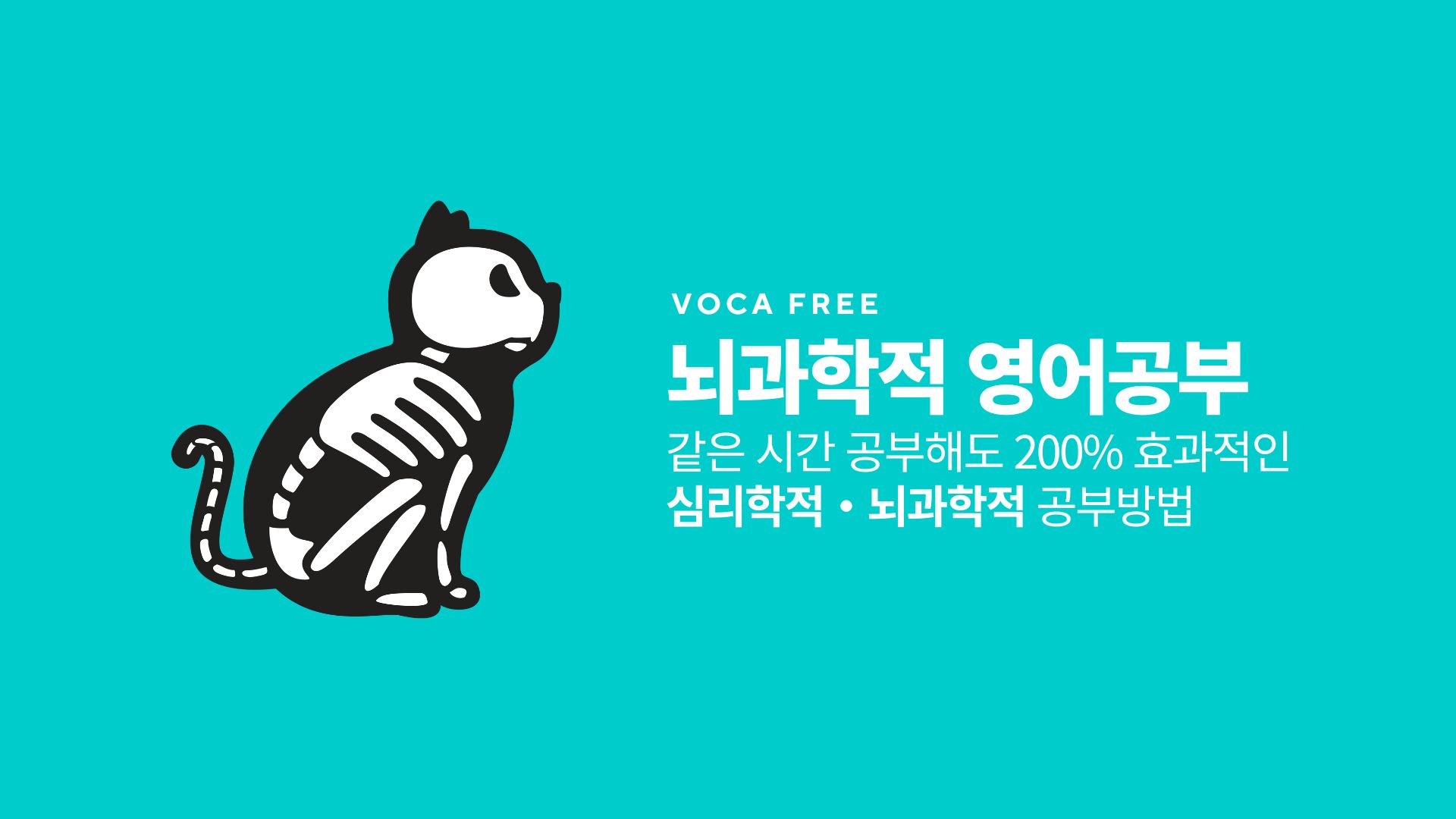 같은 시간 공부해도 200% 효과적인 심리학적・뇌과학적 공부방법 보카프리